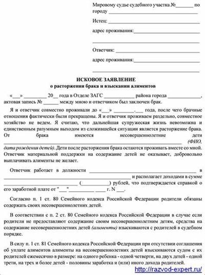 Исковое заявление на алименты: заполненный образец, правила составления и подачи