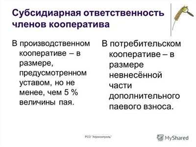 Есть ли способ уменьшить размер субсидиарной ответственности после суда?