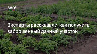 Каковы процедуры и сроки получения права собственности на чужое имущество?