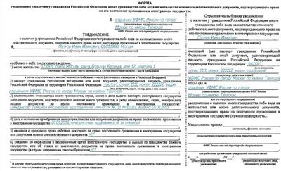 Разрешение на временное проживание в России