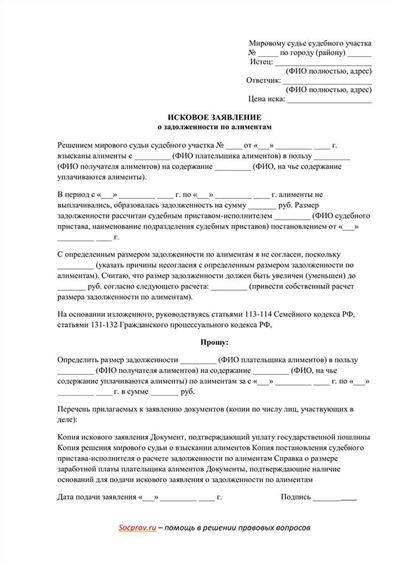 Судебная практика по списанию алиментного долга