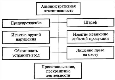 Уголовная ответственность бухгалтера