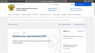 Особенности регистрации в ЕИС