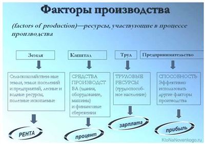 Факторы заработной платы