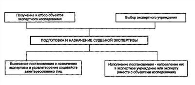 Роль Курсовой УПП Экспертизаdoc в процессе экспертной деятельности на предварительном следствии