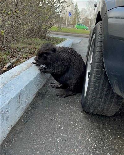 Где узнать расписание отключения горячей воды?