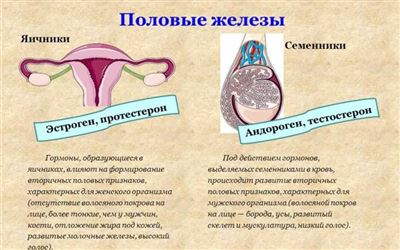 Лечение сниженного полового влечения у женщин