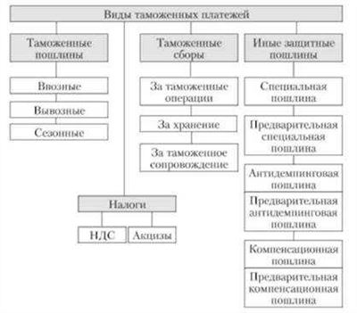 Различия в характеристиках таможенных пошлин