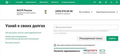 Какие долги можно проверить через онлайн-сервис