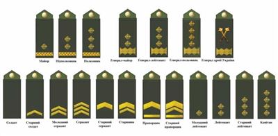 Подполковник и полковник: разница и примеры должностных обязанностей